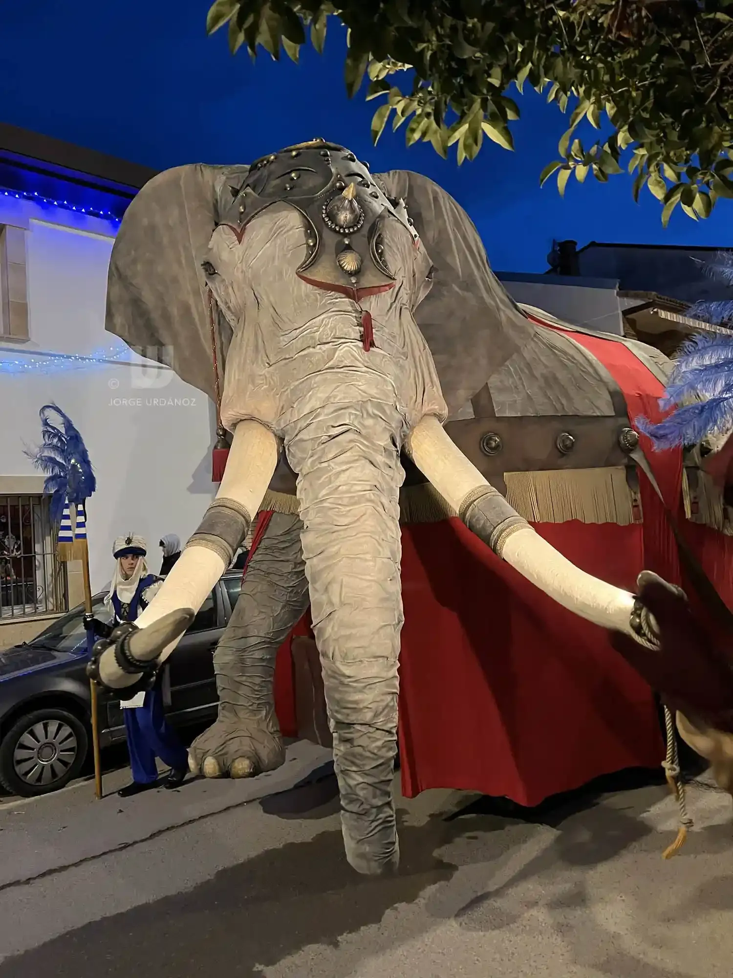For 020 B Elefante Cabalgata Sartaguda Jorge Urdanoz